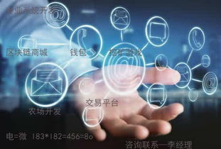 趣步系統定制與軟件系統定制開發 專業解決方案與應用前景